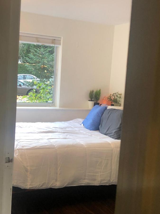 Quiet-Comfy 3 Bedroom Home On A Tree Lined Street In Kits Vancouver Exterior photo